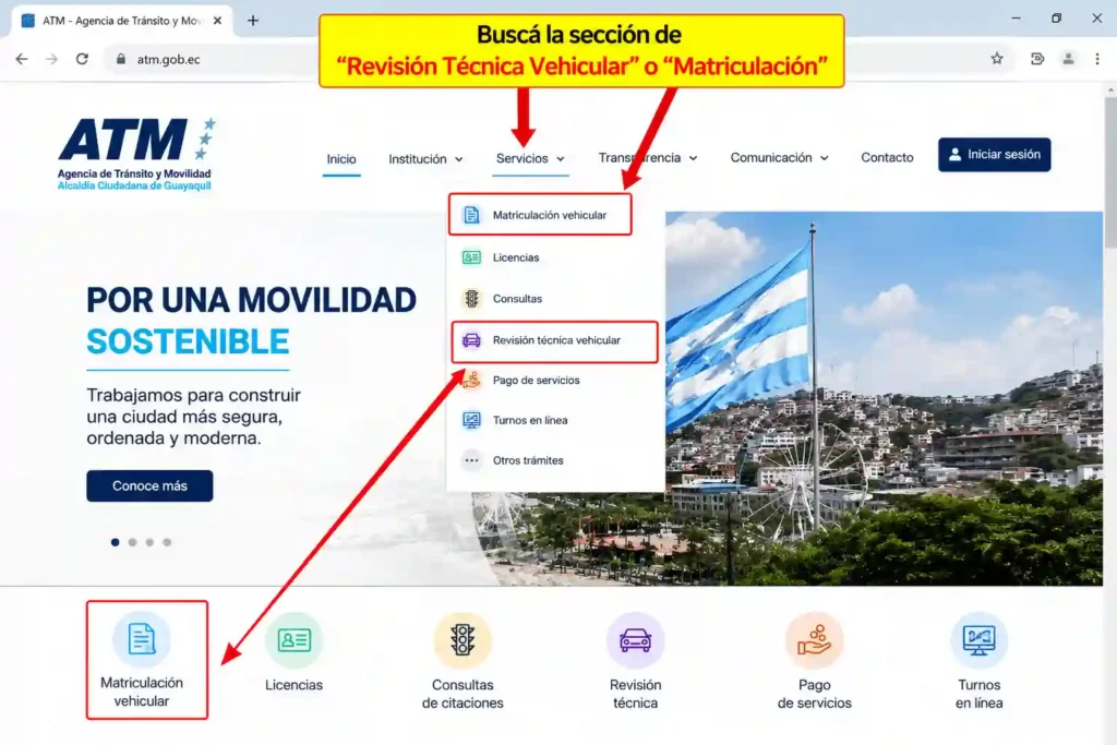  Buscá la sección de "Revisión Técnica Vehicular" o "Matriculación"