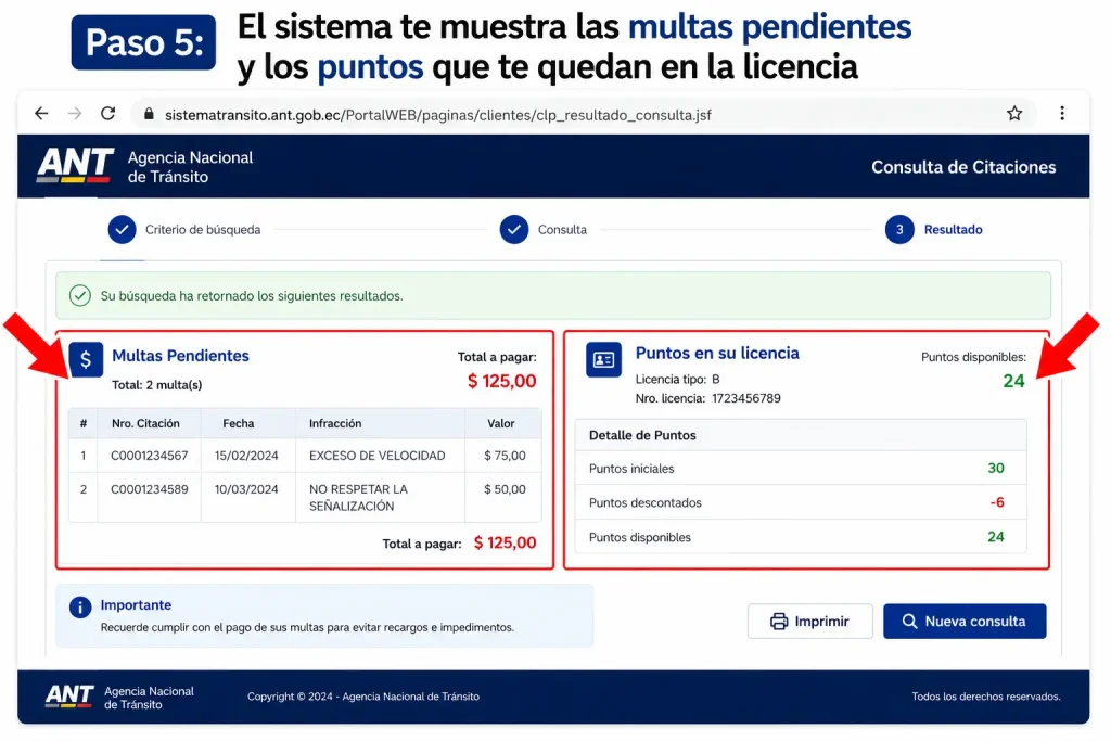 El sistema te muestra las multas pendientes y los puntos que te quedan en la licencia El sistema te muestra las multas pendientes y los puntos que te quedan en la licencia