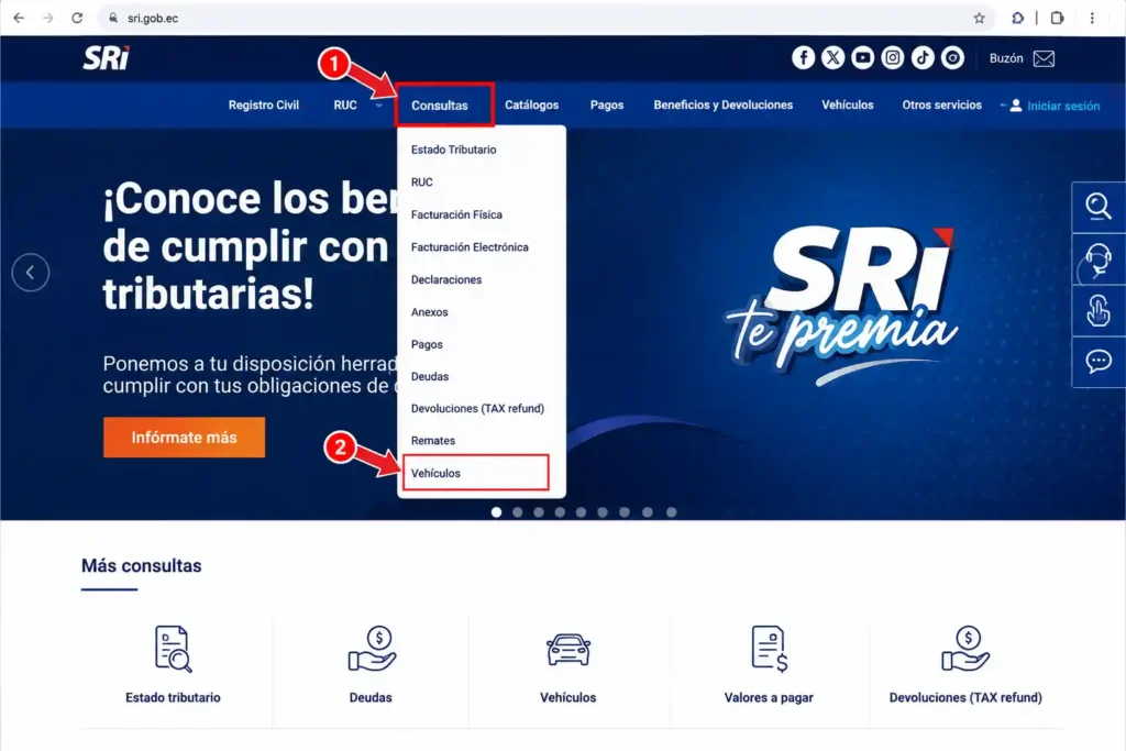 Hacé clic en la sección Consultas y seleccioná Vehículos