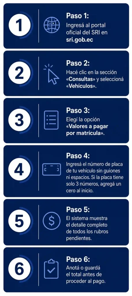 Infografía Guía paso a paso para la matriculación vehicular en Ecuador