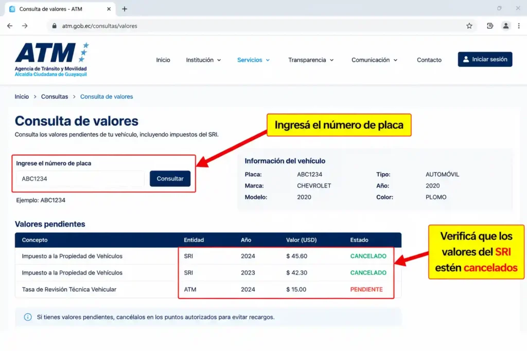Ingresá el número de placa y verificá que los valores del SRI estén cancelados