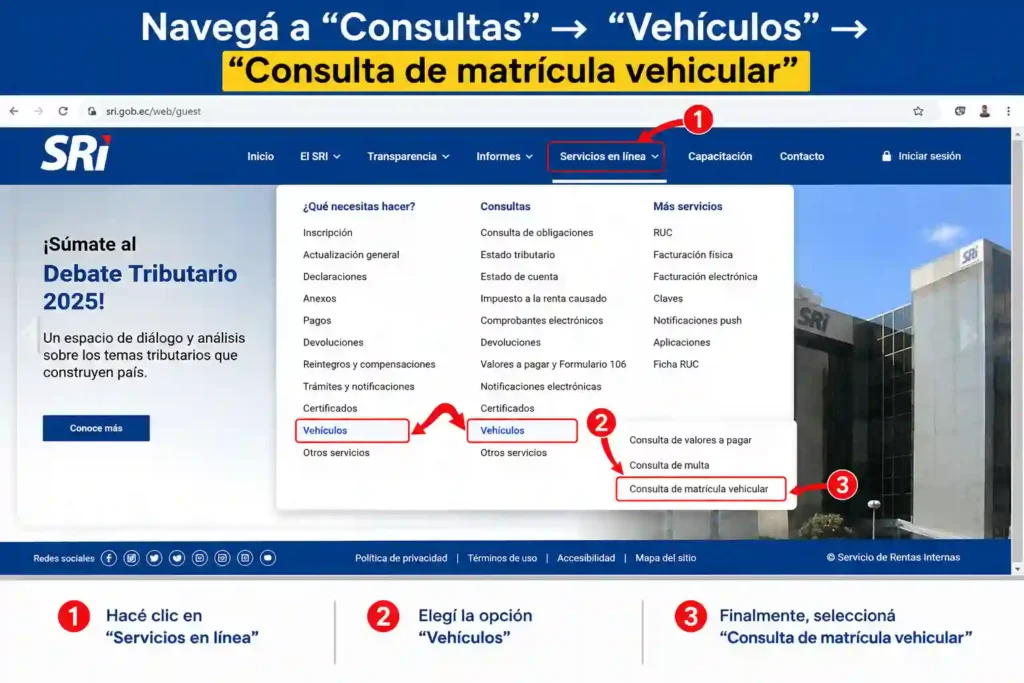 Navegá a “Consultas” → “Vehículos” → “Consulta de matrícula vehicular”