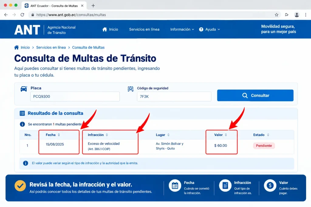 Revisá la fecha, la infracción y el valor. Revisá la fecha, la infracción y el valor.